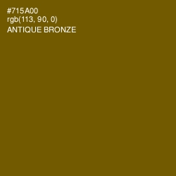 #715A00 - Antique Bronze Color Image